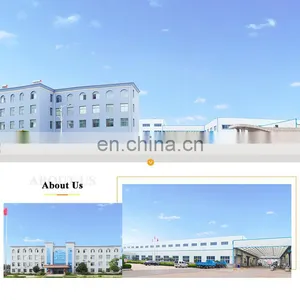 Exported to Algeria With Oil Recycling Device Snack Automatic Frozen French Fries Line thumbnail-5