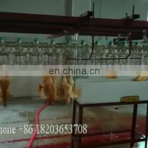 Poultry Chicken Processing Plant Chicken Slaughtering Machine thumbnail-1