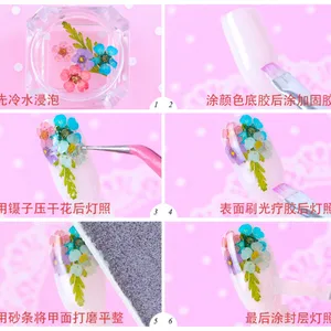 Daisy Camellia Dry Flower Dried Flower Acrylic Nails Nail Decorations Sticker Leaf thumbnail-3