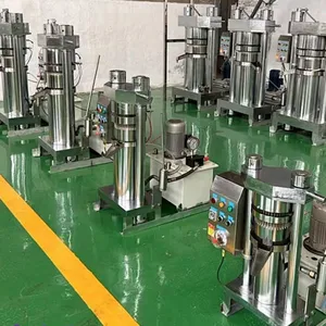 Automatic Hydraulic Walnut Oil Press Wholesale Walnut Oil Press Machine Commercial Walnut Oil Pressing Machine thumbnail-5