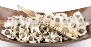 Quality High Moringa Seed Powder Bulk Producers thumbnail-1