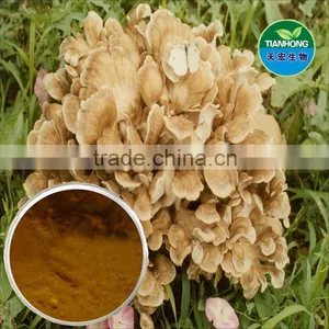 Pure Natural Grifola Frondosa Extract /Polysaccharide thumbnail-1
