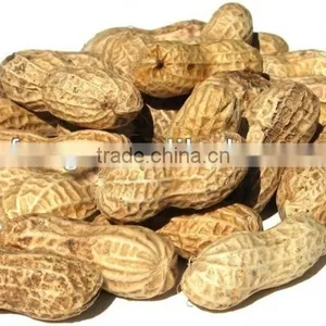 New Crop 2012 Raw Peanut In Shell thumbnail-1