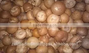 Betelnut Premium Quality thumbnail-3