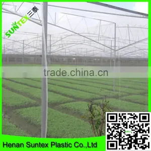 Virgin Recycle Hdpe Anti Pest Netting for Vegetable Growing thumbnail-4