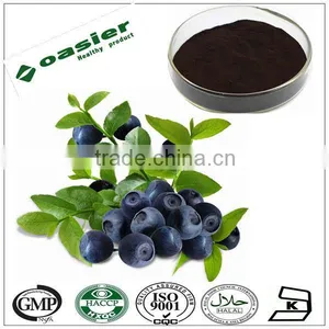 100%Natural Blueberry Extract Concentrate Powder thumbnail-1