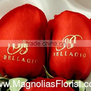 Digital Red Rose Printer,printe White Ink on Flowers,beautiful Flower Printer thumbnail-3