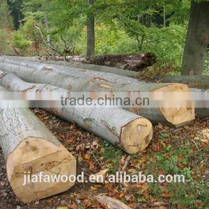FSC Beech Logs thumbnail-1