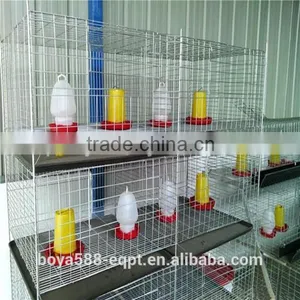 Ladder Type Automatic Pullet Chicken Brooding Cage For Sales For Nigeria Farm thumbnail-3