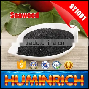 Humirich Shenyang SY1001 Seaweed Extract Alga Flake Organic Fertilizer thumbnail-5