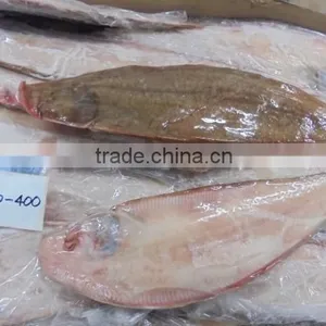 FROZEN SOLE FISH thumbnail-3