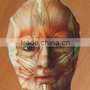 Muscle Morph Mask thumbnail-1