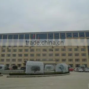 Dongyue Machinery Group Co., Ltd. company overview - view 3 thumbnail