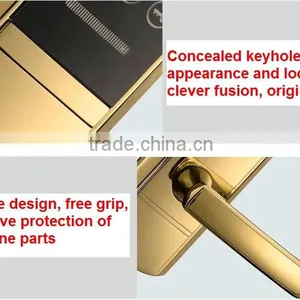 Biometric Keypad Fingerprint Door Lock Remote Control Electric Glass Door Lock thumbnail-3
