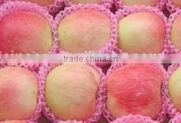 Gala Apple thumbnail-1