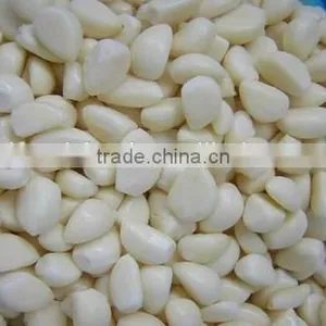 Good Qaulity IQF Peeled Garlic thumbnail-5