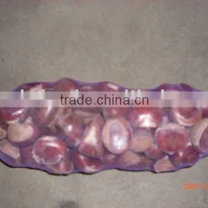 Chinese Chestnut in 10kg Mesh Bag thumbnail-1