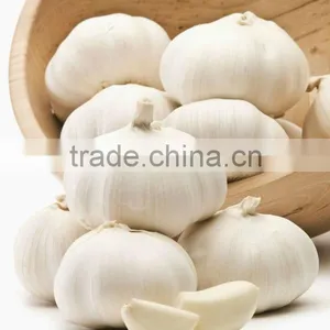 Jinxiang Fresh Garlic thumbnail-1