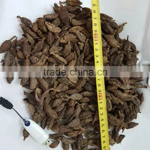 Big Black Cardamom thumbnail-1