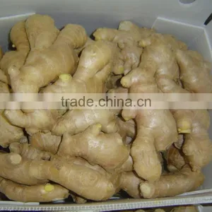 Air Dried Ginger thumbnail-2