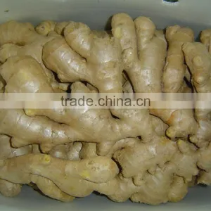 Fresh Air Dried Ginger thumbnail-4