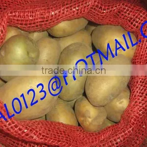BANGLADESHI HIGH QUALITY FRESH GRANOLA POTATO AND DIAMOND POTATO FROM EXPORT TRADE ASSOCIATE WITH CHEAP PRICE thumbnail-1