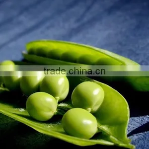 Soybean Peeling Machine /green Bean Peeling Machine thumbnail-5