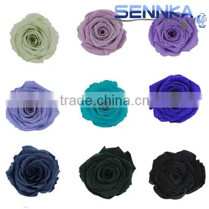 Preserved Flower Wedding Gifts for Guests Preserved Blue Rose Flower thumbnail-4