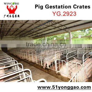 Pig Farm Equipment Sow Pig Gestation Crates Pig Equipment thumbnail-2