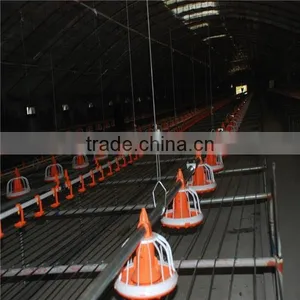 Chicken Broiler Raising Equipment thumbnail-1