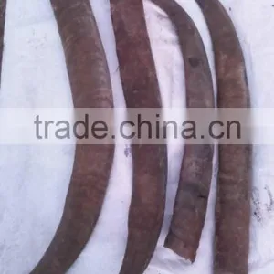 Buffalo Horn thumbnail-1