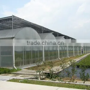 Low Cost Tunnel Plastic Greenhouse For Sale thumbnail-6