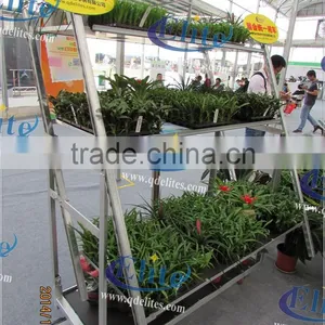 A37 Vegetable Seedings Plant Trolley Container thumbnail-6