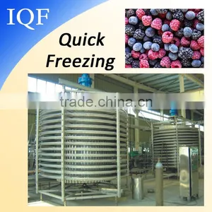 Professional Spiral Freezer Food Ice Cream Batch Freezer thumbnail-1