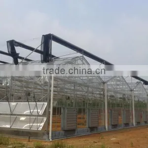 New Technology Glass Greenhouse for Sale thumbnail-1