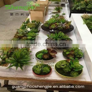 SJLJ013383 Artificial Succulent Plants for Wall / Wedding / Hotel Decoration thumbnail-3