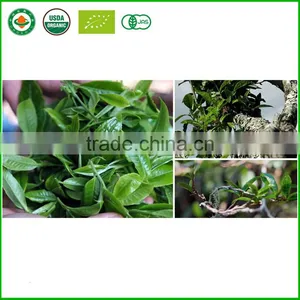 Yunnan Puer Tea Raw Tea Slimming Detox Tea Good Price thumbnail-2