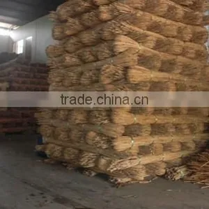 Raw White Pahang All Size Cane thumbnail-3
