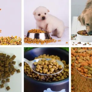 Stainless Steel Pet Food Extruder Cost for Kinds of Pets Feeding thumbnail-4