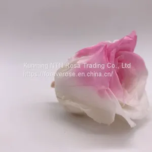 Preserved Rose Preserved Flowers Dried Flowers Birthday Valentine Party Wedding thumbnail-3