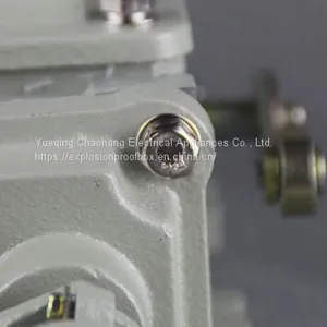Explosion-proof Travel Switch Weight Switch Universal BLX11 LX510-12 BLXK501-10 LX510-32 Double Beam Weight Limiter thumbnail-4
