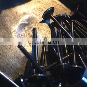 Stock Auto Parts Da465qa Da480qa Engine Intake Exhaust Valve For Faw T57 6371 474q Chery 480 465 272 B2G06-1007011 B2G06-1007012 thumbnail-5