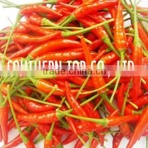 VIETNAM CHILLI thumbnail-1