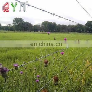 High Quality Galvanized Barbed Wire for Sale thumbnail-1