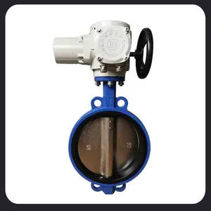 Manual Turbine Butterfly Valve DN32 Industrial Bus Type Electric Actuator thumbnail-2