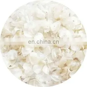 Dried Fish Scales With High Quality From Viet Nam thumbnail-1
