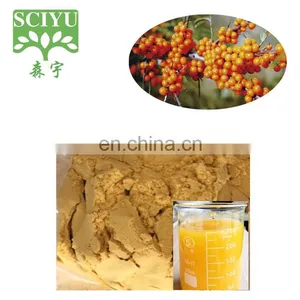 Korea Market of Seabuckthorn Powder Sea Buckthorn Fruit Powder thumbnail-1
