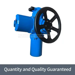 Bernard Multi-turn Electric Actuator DZW60 Thrust Type Valve Electric Device thumbnail-2