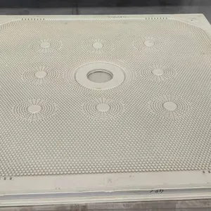 1200mm 1500mm Replaceable PP Membrane Squeeze Filter Presses and Filter Plates for Andritz Filter Press thumbnail-4
