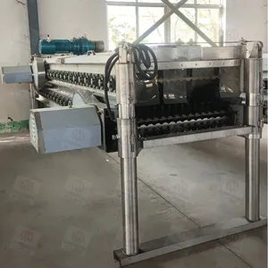 Full Chicken Slaughter House Machine Line thumbnail-2